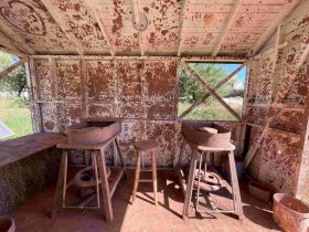 On-Site Activities (Eweleaze Farm) 2025